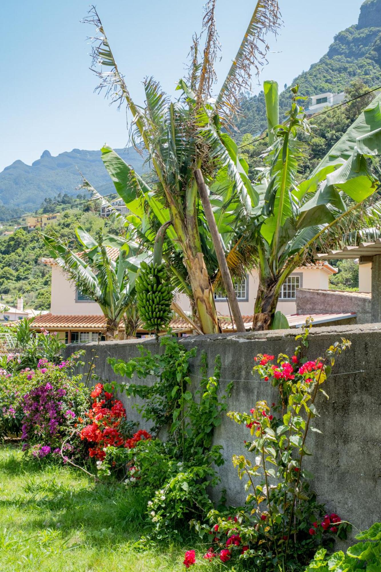 Sao Vicente Guest House Экстерьер фото